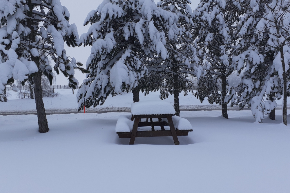 Il neige : bientôt la première sortie